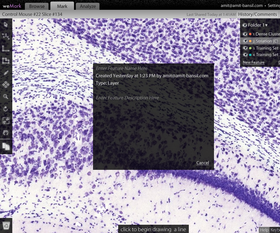 a tool for annotation, analysis, and auotomated recognition of brain tissue.